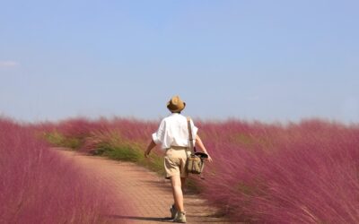 Adventures of the Wondrously Weird Trio in Silly Sands In…