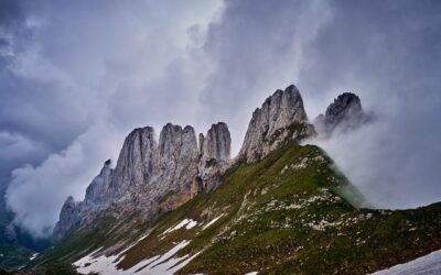 The Whimsical Adventures of Fumducker, Llamadillo, and Giraffagator TL;DR (Too…