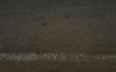 Snakeroo – Welcome To The Jester’s Jungle: Where Chaos Reigns…