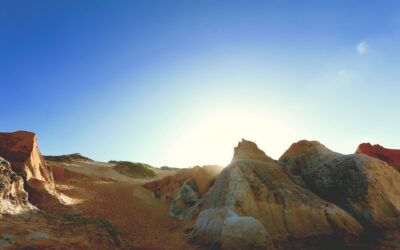 Kangarooster / Welcome To Silly Sands: Where Chaos Is King!…