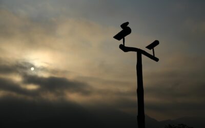 Snakeroo » Fumducker, Origins, And Snakeroo: The Wildest Roller Coaster…